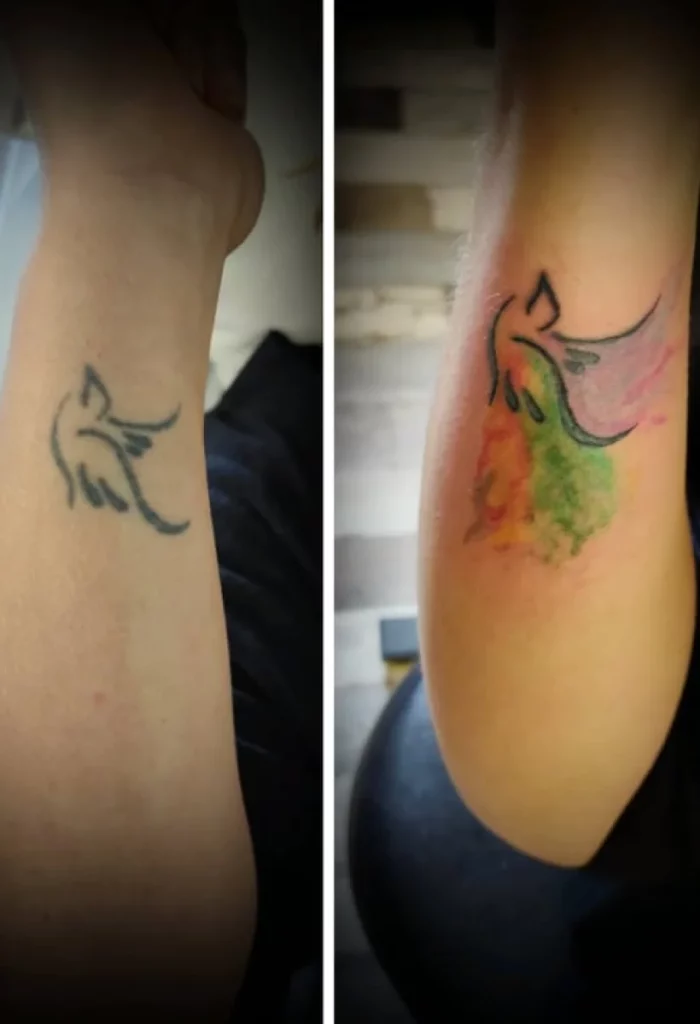 Fragments Delle Tatouage Traits Fins Bazas Tatouage Cover 13