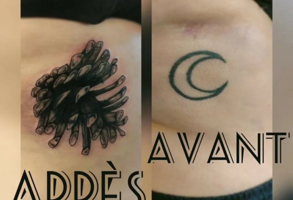 Fragments Delle Tatouage Traits Fins Bazas Tatouage Cover 8