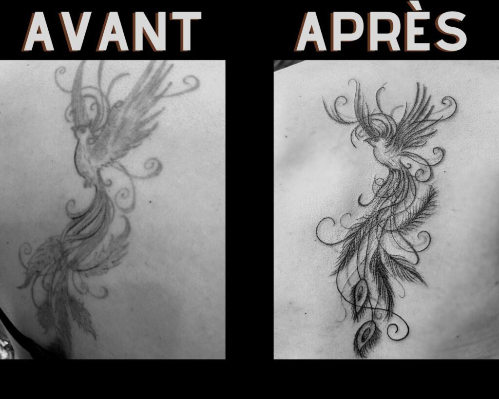 Fragments Delle Tatouage Traits Fins Bazas Rafraichissement Phenix