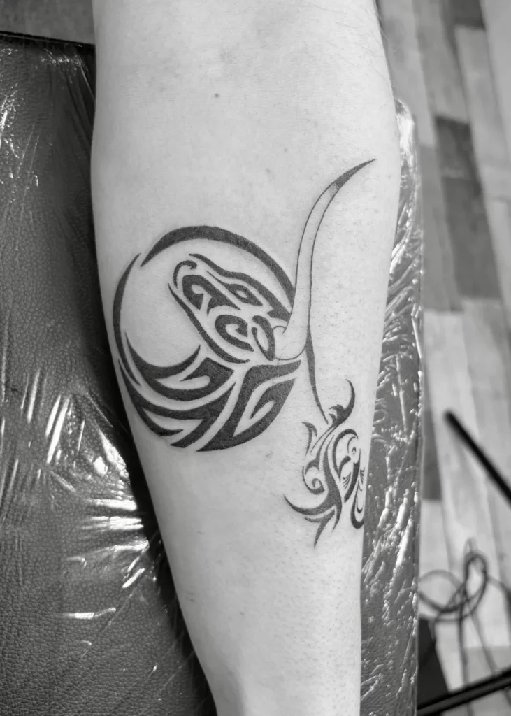 Fragments Delle Tatouage Traits Fins Bazas IMG 0215 1