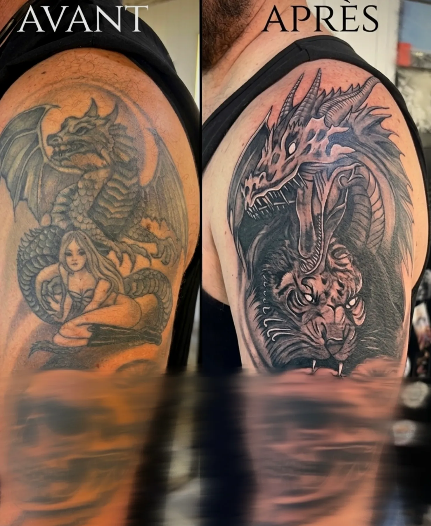 Fragments Delle Tatouage Traits Fins Bazas Tatouage Cover