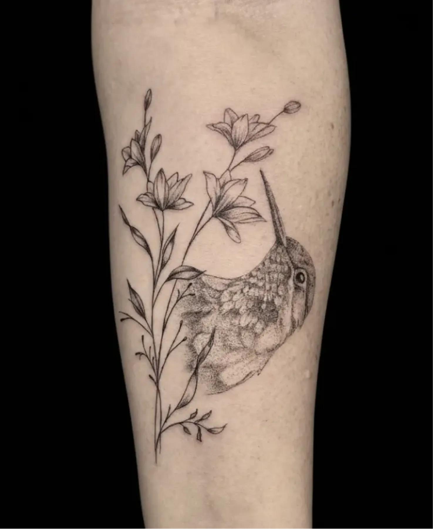 Fragments Delle Tatouage Traits Fins Bazas Tatouage Fins