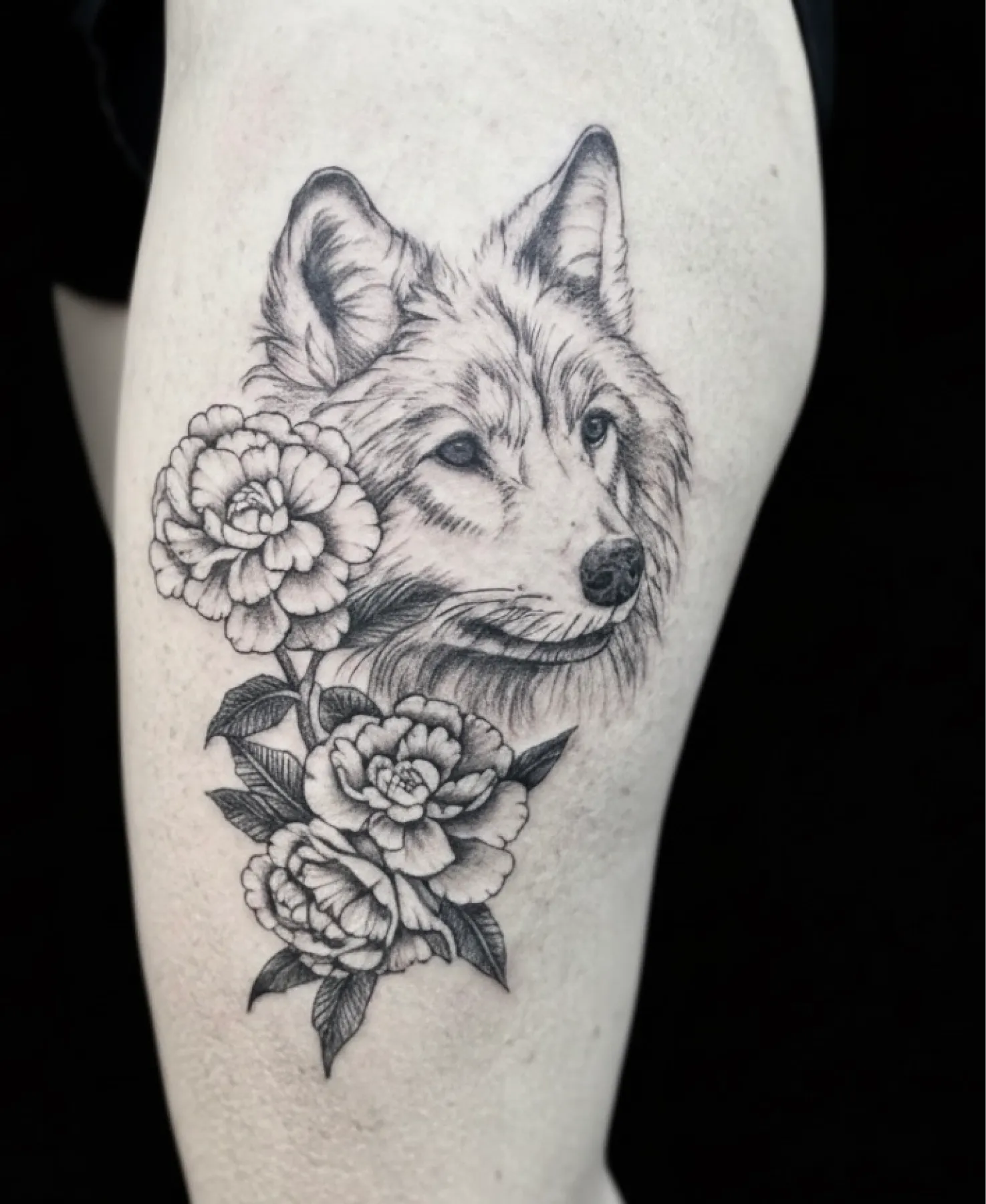 Fragments Delle Tatouage Traits Fins Bazas Tatouagee Free Hand