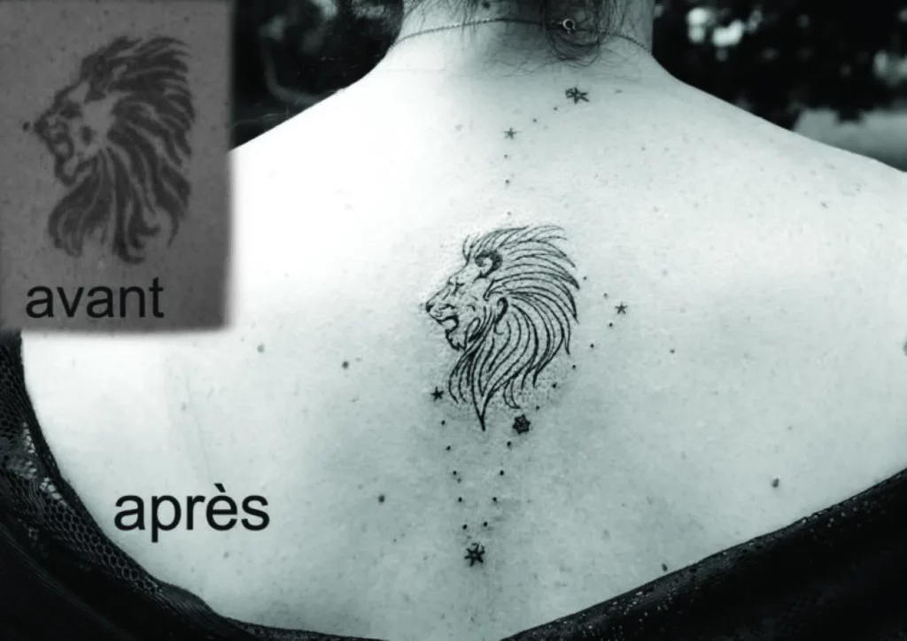 Fragments Delle Tatouage Traits Fins Bazas Taouage Cover Lion E1653307855744 1